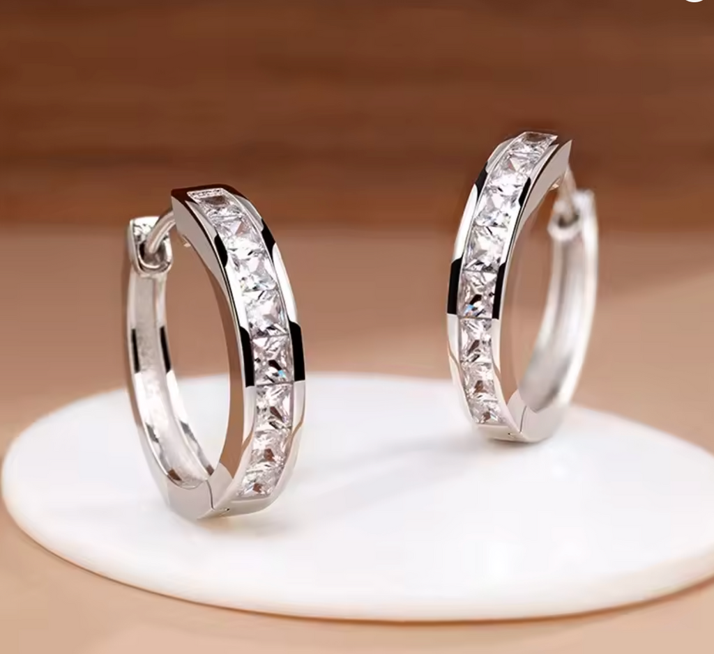925 Sterling Silver Zircon Circle Earrings for Women
