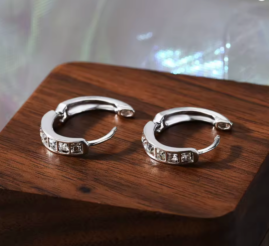 925 Sterling Silver Zircon Circle Earrings for Women